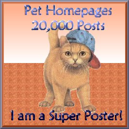 superposter20000cathat.jpg